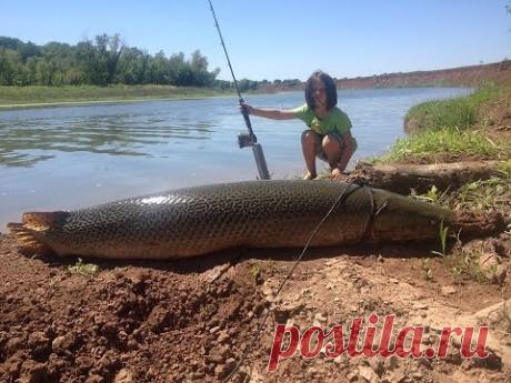 Fishing For Prehistoric Dinosaurs In Texas