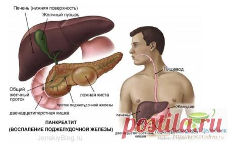 Три важных народных средства для лечения поджелудочной железы