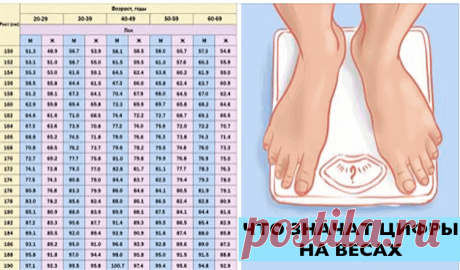 Не спеши худеть! Это необходимо знать каждому при измерении веса. Не спеши худеть! Это необходимо знать каждому при измерении веса.Таблицы соотношения веса и роста, которые используют профессионалы
