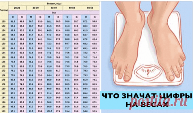 Не спеши худеть! Это необходимо знать каждому при измерении веса. Не спеши худеть! Это необходимо знать каждому при измерении веса.Таблицы соотношения веса и роста, которые используют профессионалы
