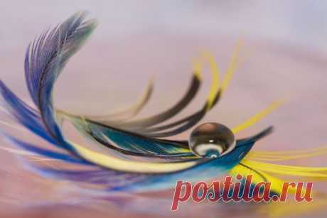 Магия пера для исполнения желания