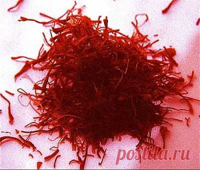 Страна советов: Кулинария