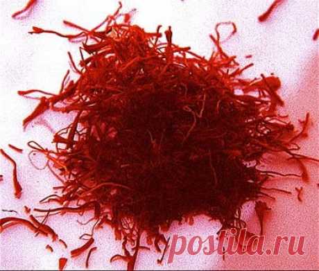 Страна советов: Кулинария