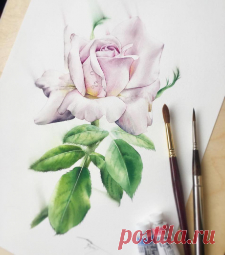 🎨 Watercolor blog @watercolor.blog Instagram profile - Mulpix