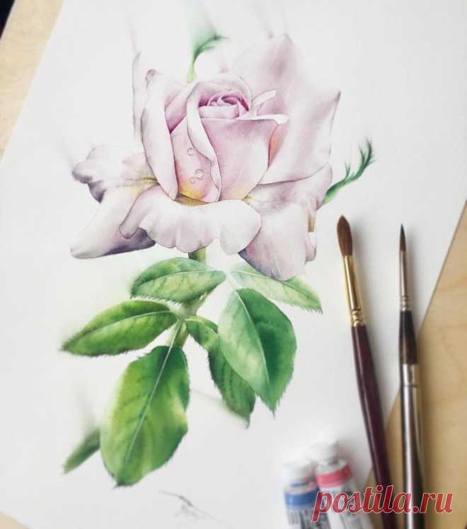 🎨 Watercolor blog @watercolor.blog Instagram profile - Mulpix