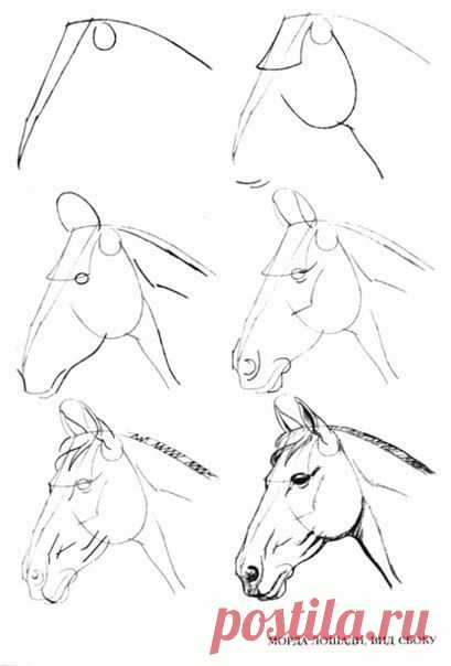 Уроки рисования | ВКонтакте