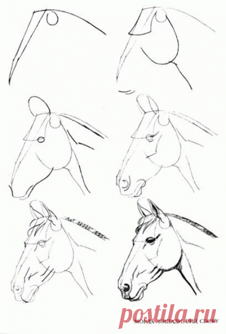 Уроки рисования | ВКонтакте