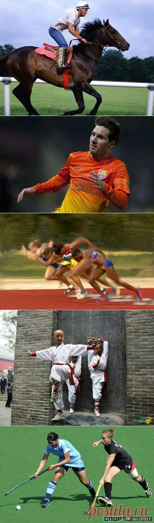 Легкая атлетика, Пляжный гандбол, Мотобол, Гимнастика эстетическая. (1/1) - Спортивный форум. - Спортивный сайт