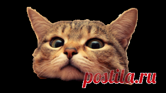 Наталья Жукова.Интерьерный декор. Особенности создания эффектных панно.