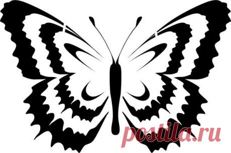 Фотографии на стене сообщества | 32 771 фотография