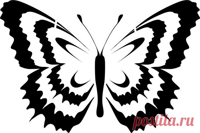 Фотографии на стене сообщества | 32 771 фотография