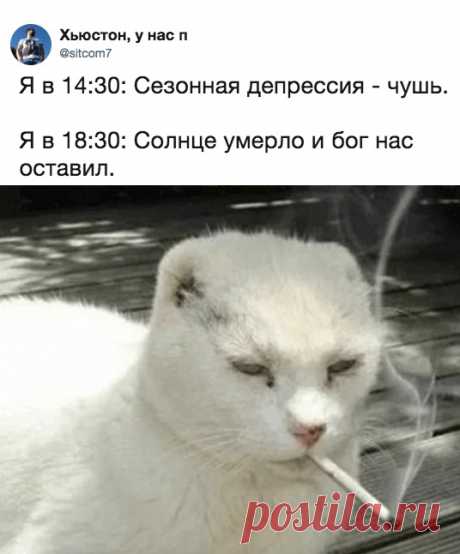 Немного картинок на вечер - ЯПлакалъ