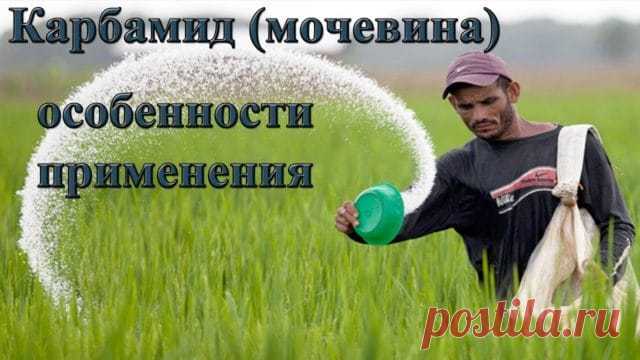 Мочевина (карбамид): понятие, состав, инструкция по применению