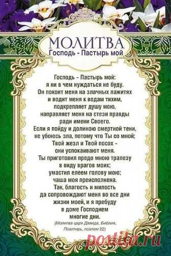 - Пустъ в моей семье все будет хорошо. !