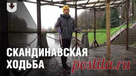 Скандинавская ходьба: основные правила и ошибки