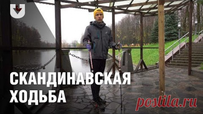 Скандинавская ходьба: основные правила и ошибки
