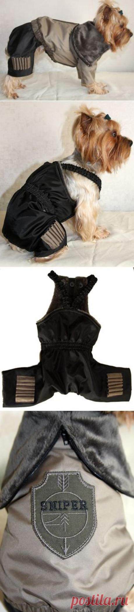 1-019 | Лыжный костюм &quot;Снайпер&quot; (хаки) - КОМБИНЕЗОНЫ ДЛЯ СОБАК - ОДЕЖДА ДЛЯ СОБАК - Crystaldog