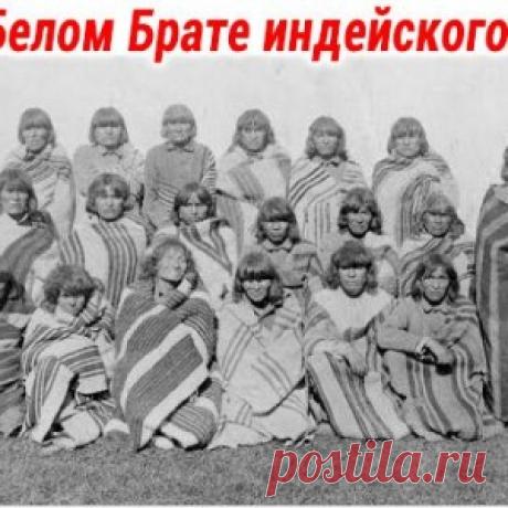 "Пророчества индейского племени Хопи о Белом Брате"
