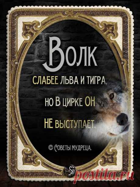 (50) Pinterest