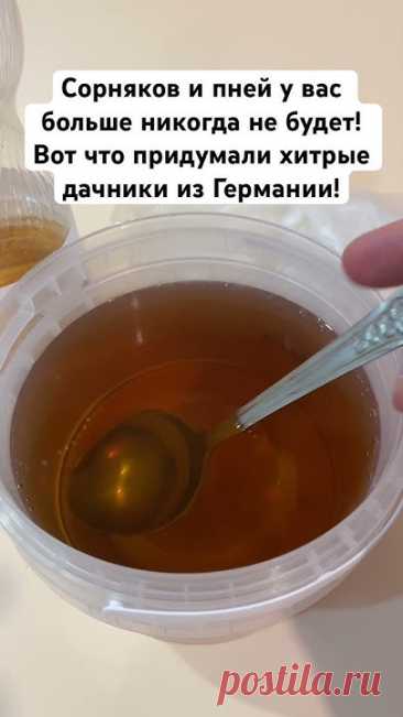 Сорняков и пней у вас больше никогда не будет! Вот что придумали хитрые дачники из Германии! #огород