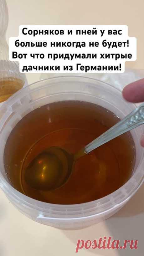Сорняков и пней у вас больше никогда не будет! Вот что придумали хитрые дачники из Германии! #огород