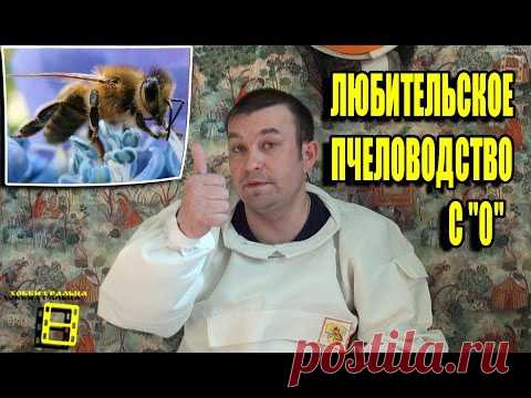 Любительское пчеловодство с 