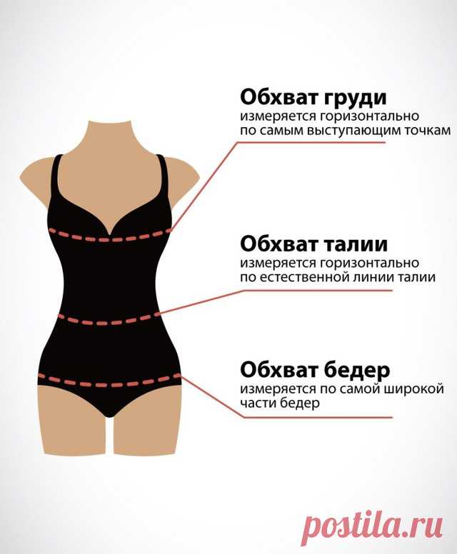 Замеры фигуры. Статьи компании «Интернет-магазин Леди-лайн»