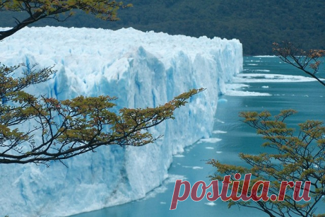 Невероятно красивые проделки природы Ледник Перито-Морено - это один из трёх не отступающих ледников Патагонии, который периодически наступает на озеро Аргентина и создаёт искусственную дамбу. Расположен в национальном парке Лос-Гласьярес на границе Чили и Аргентины. Входит как и другие 48 ледников в Патагонский ледник,...
