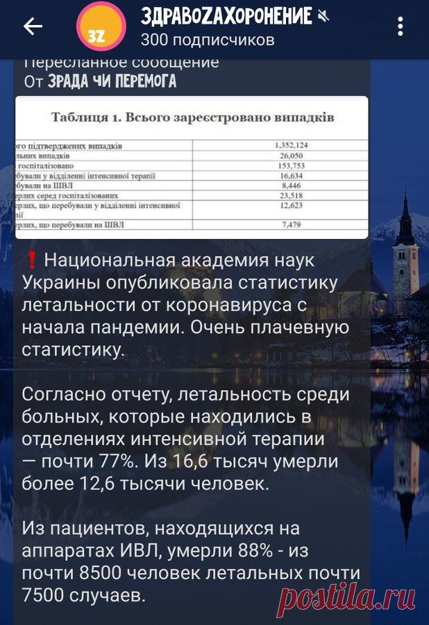 EviyjNWXEAA4E-p (618×900)