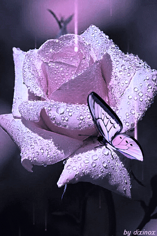 tumblr_oq4f4cJ1LE1uzaf5go1_400.gif (320×480)