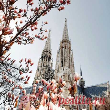 Вена * Wien