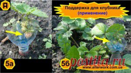 Поддержка для клубники | Творим После Работы
