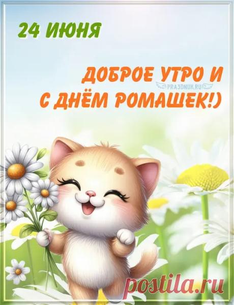Белая ромашка расцвела в саду!
Это к ней так быстро я сейчас иду:
Хочется поближе рассмотреть цветок,
Пальчиком потрогать хрупкий стебелек. Открытки на День ромашки!