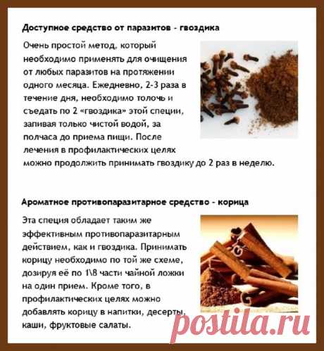 Гвоздика и корица от паразитов