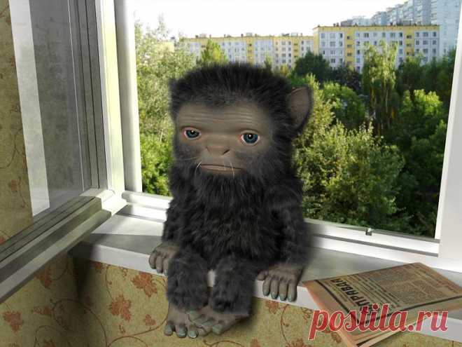 Записки домового...)))