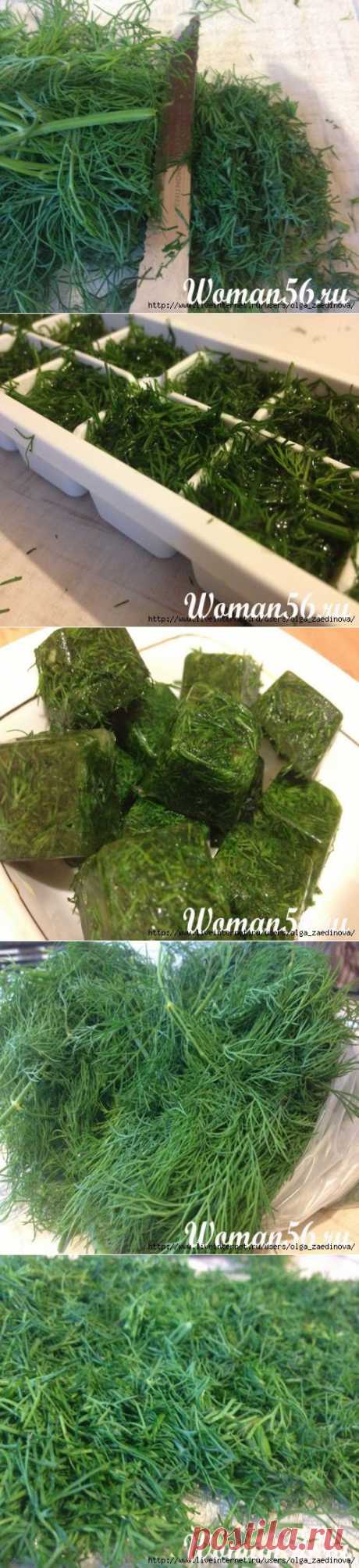 Заготовка укропа на зиму разными способами.
