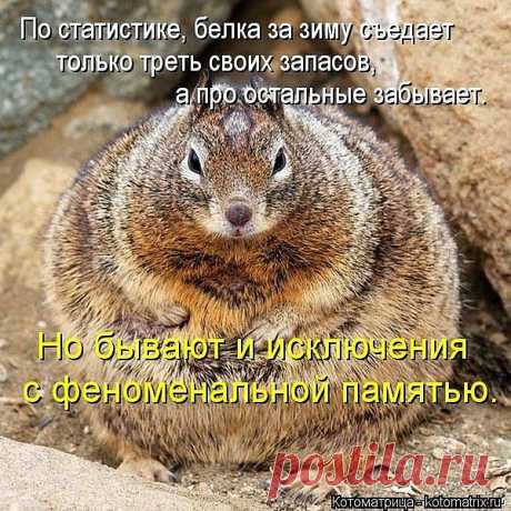 у меня феноминальная память.....