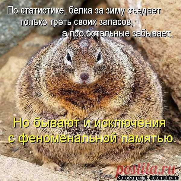 у меня феноминальная память.....