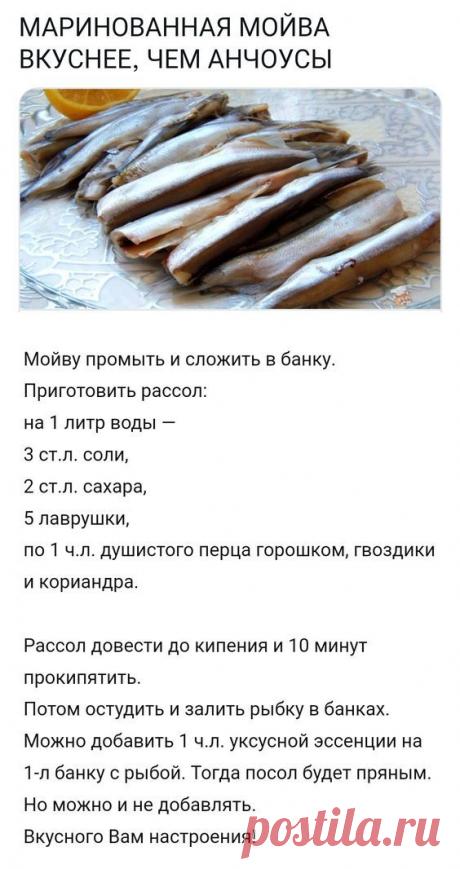 СКУМБРИЯ В БУТЫЛКЕ — настоящий деликатес! Рыбка получается вкуснее