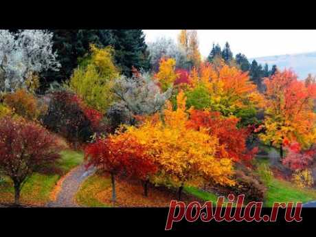 Красивая Музыка Для Души (осень) !!!
