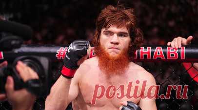 Шара Буллет: я лучший ударник своего дивизиона UFC, побью Адесанью. Российский боец смешанных единоборств (MMA) Шарабутдин Магомедов, известный как Шара Буллет, прокомментировал победу над Арменом Петросяном на UFC 308 в Абу-Даби. Читать далее
