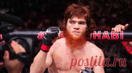 Шара Буллет: я лучший ударник своего дивизиона UFC, побью Адесанью. Российский боец смешанных единоборств (MMA) Шарабутдин Магомедов, известный как Шара Буллет, прокомментировал победу над Арменом Петросяном на UFC 308 в Абу-Даби. Читать далее