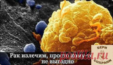 РАК – ЭТО ГРИБКОВОЕ ЗАБОЛЕВАНИЕ… И ОНО ИЗЛЕЧИМО