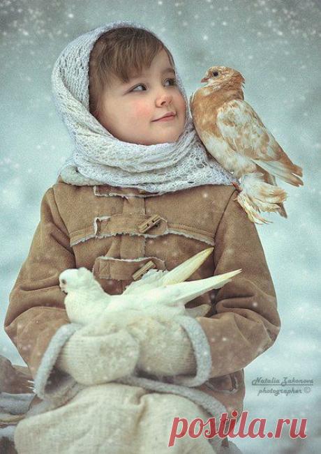 Pinterest / Кнопка Pin it