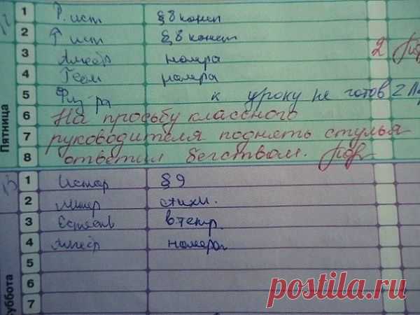 Учительские перлы из школьных дневников
