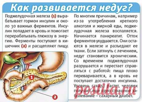 ЛЕЧЕНИЕ ПОДЖЕЛУДОЧНОЙ ЖЕЛЕЗЫ НАРОДНЫМИ МЕТОДАМИ 

То, чего не расскажет ни один врач!
Поджелудочная железа — один из важных внутренних органов 
человеческого тела, который отвечает за наше пищеварение. Сбой в работе поджелудочной чреват осложнениями и целым рядом заболеваний, таких как панкреатит или сахарный диабет. К счастью, есть прекрасные народные средства, которые помогают лечить этот орган не хуже лекарств. Если у тебя есть проблемы с этим важнейшим органом — наша с...