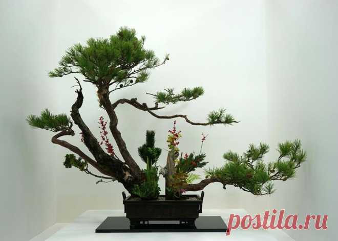 Japanese Culture & Style