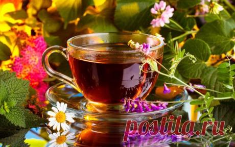 Время принятия лекарств и травок.