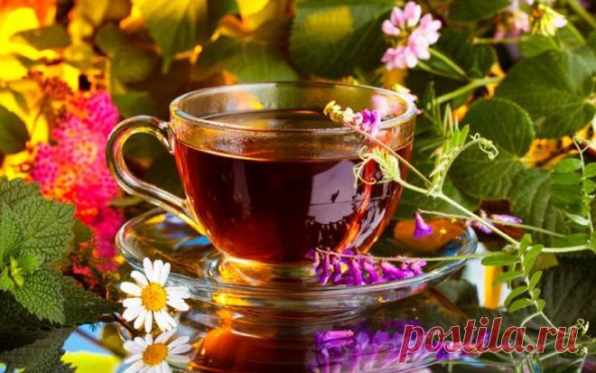 Время принятия лекарств и травок.