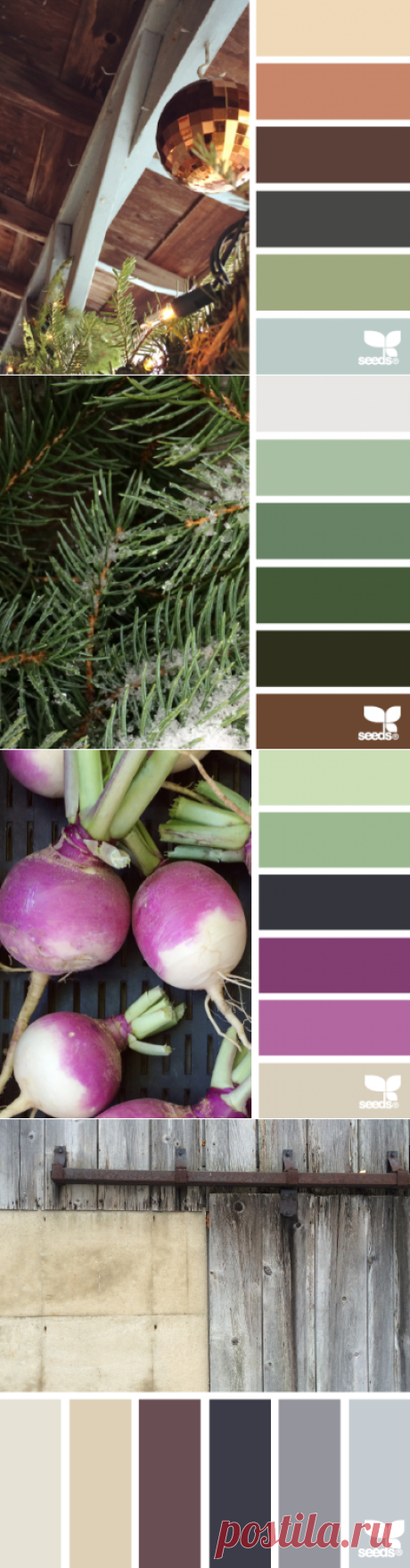 design seeds | for all who ♥ color